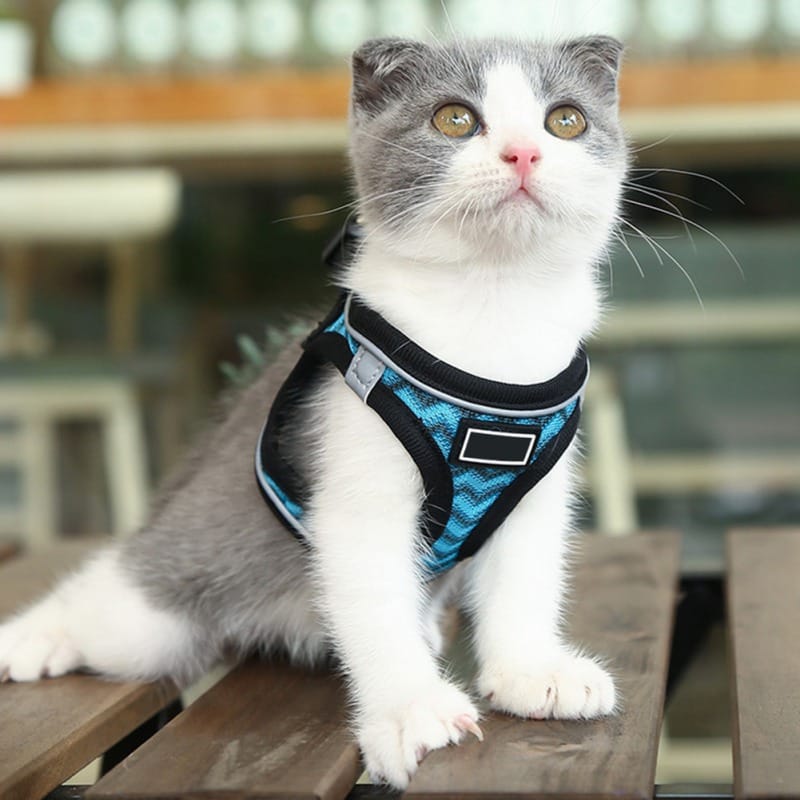 1 0 Arnés de pecho reflectante con diseño de ondas para mascotas