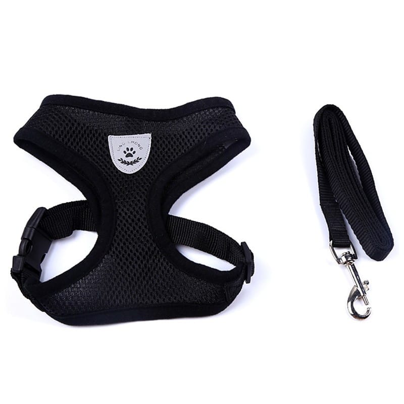 1 0 Black / L Cinturón de seguridad para mascotas en el coche Correa para mascotas. Múltiples colores y tamaños