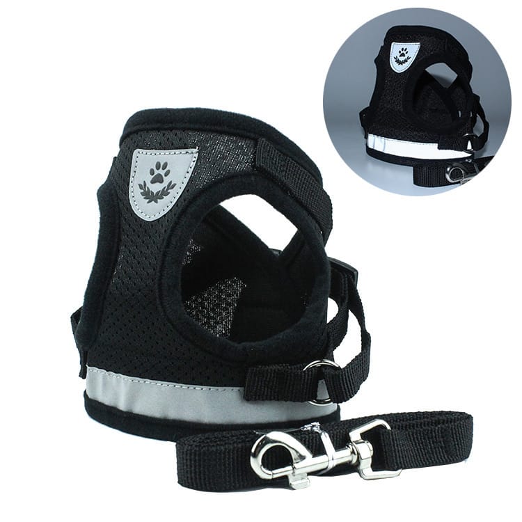 1 0 BlackA / L Cinturón de seguridad para mascotas en el coche Correa para mascotas. Múltiples colores y tamaños