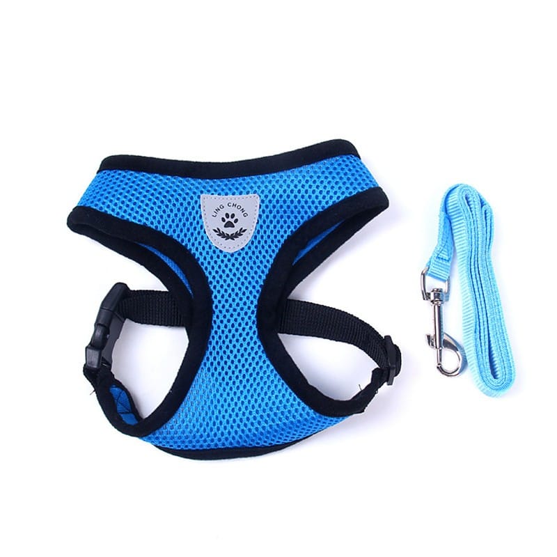 1 0 Blue / L Cinturón de seguridad para mascotas en el coche Correa para mascotas. Múltiples colores y tamaños