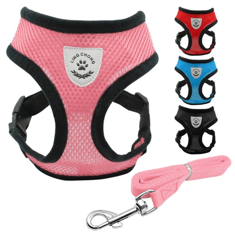1 0 Cinturón de seguridad para mascotas en el coche Correa para mascotas. Múltiples colores y tamaños