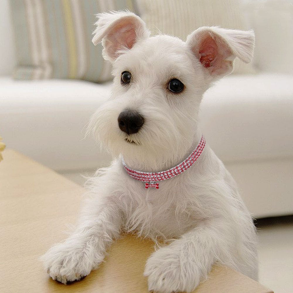 1 0 Collar para perro con diamantes de imitación brillantes, collar de cristal para cachorros Chihuahua, collar para perros pequeños y medianos