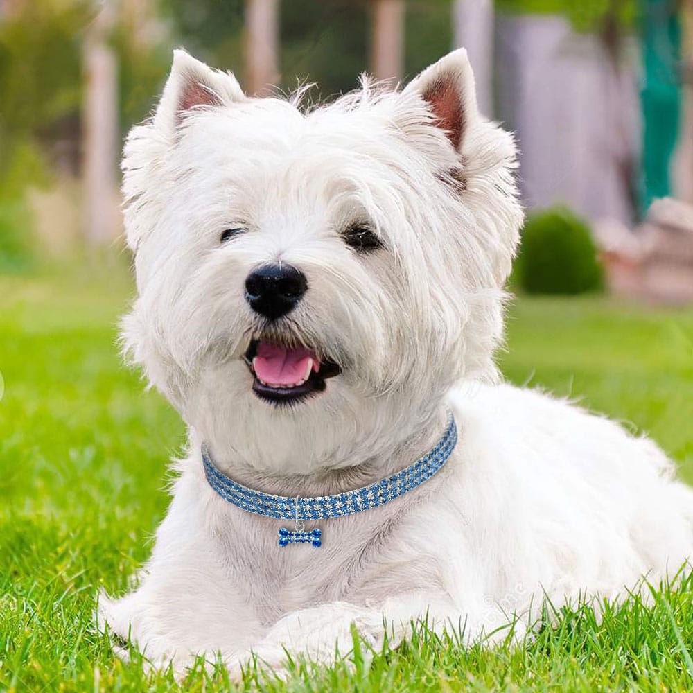 1 0 Collar para perro con diamantes de imitación brillantes, collar de cristal para cachorros Chihuahua, collar para perros pequeños y medianos