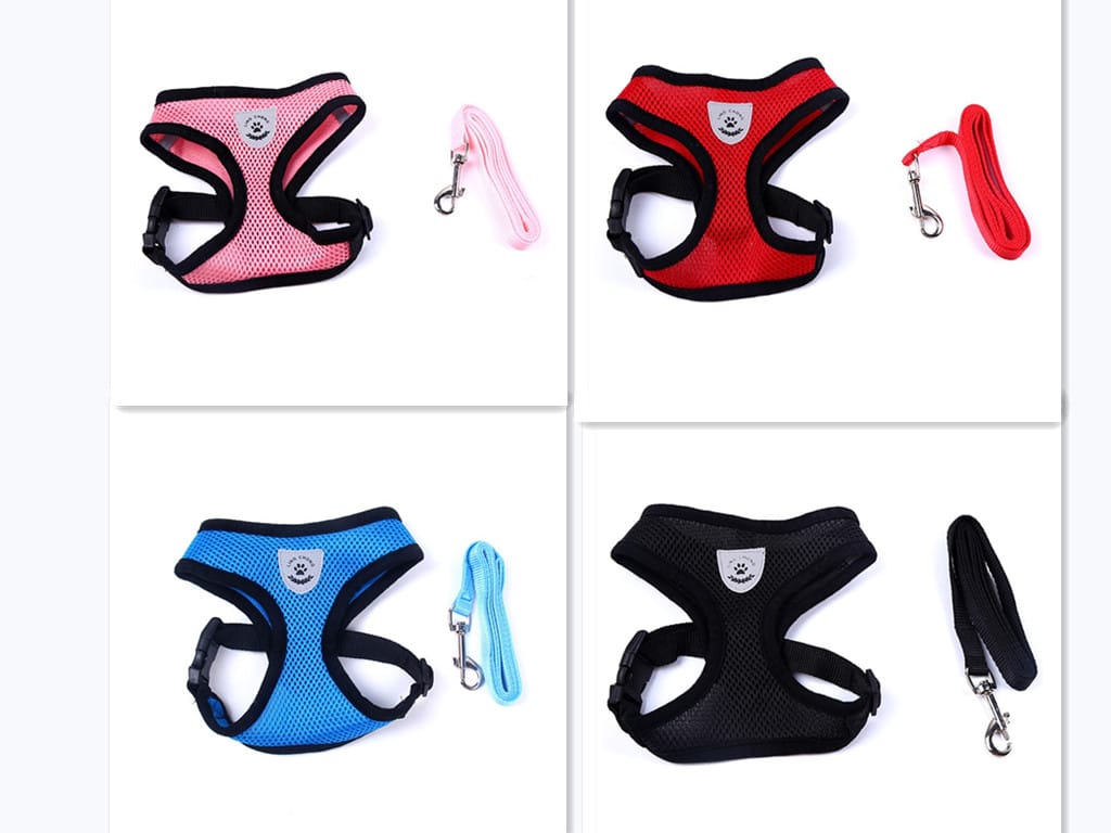 1 0 Combination / L Cinturón de seguridad para mascotas en el coche Correa para mascotas. Múltiples colores y tamaños