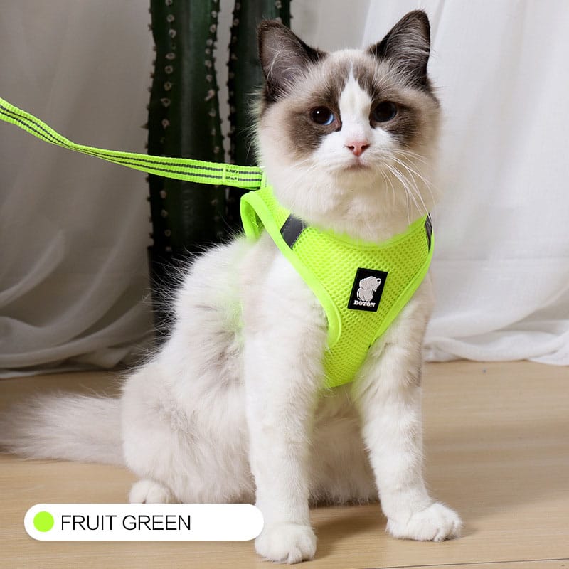 1 0 Fruit green / L Arnés de tracción antigolpes para gatos