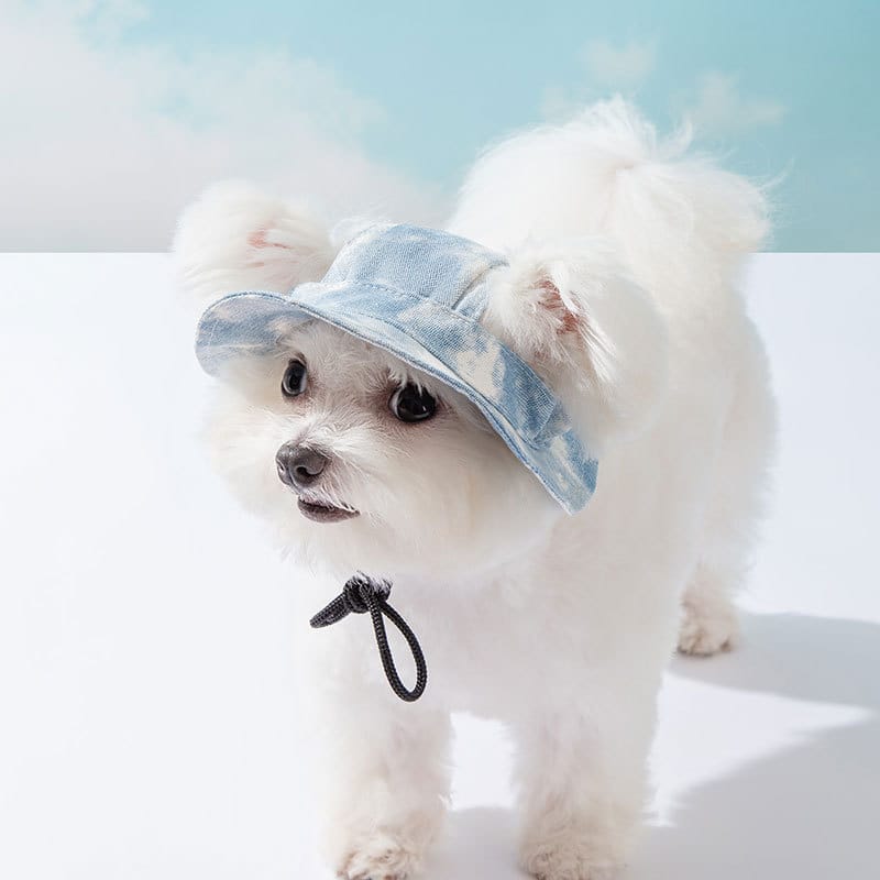 1 0 Gorros para mascotas con orificios para las orejas, gorro ajustable para cachorros, gorro para perros pequeños y medianos