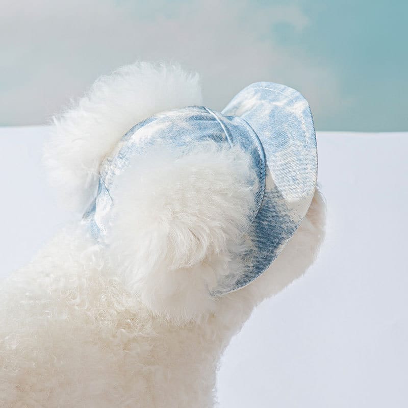 1 0 Gorros para mascotas con orificios para las orejas, gorro ajustable para cachorros, gorro para perros pequeños y medianos