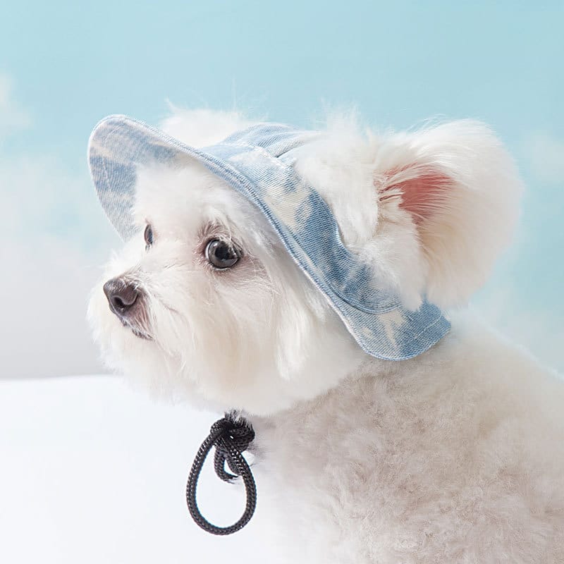 1 0 Gorros para mascotas con orificios para las orejas, gorro ajustable para cachorros, gorro para perros pequeños y medianos