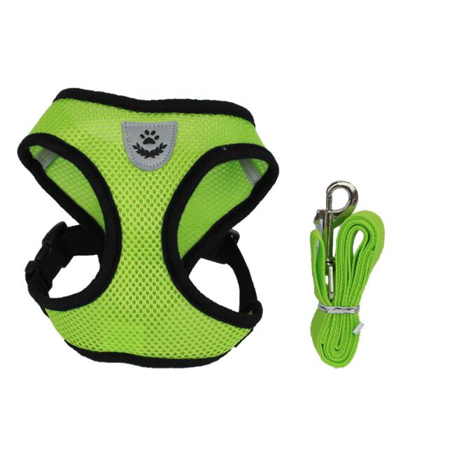 1 0 Green / L Cinturón de seguridad para mascotas en el coche Correa para mascotas. Múltiples colores y tamaños