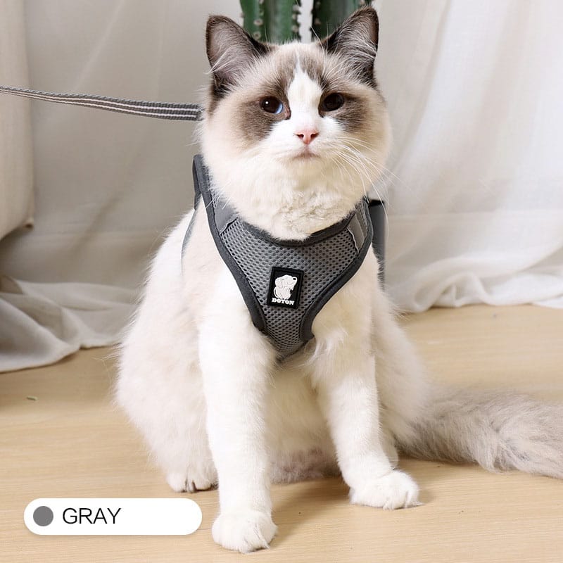 1 0 Grey / L Arnés de tracción antigolpes para gatos