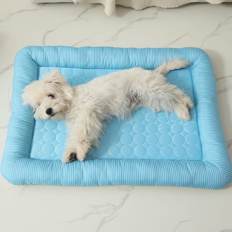 1 0 Nido de seda helada para perros Pet Cool Ice