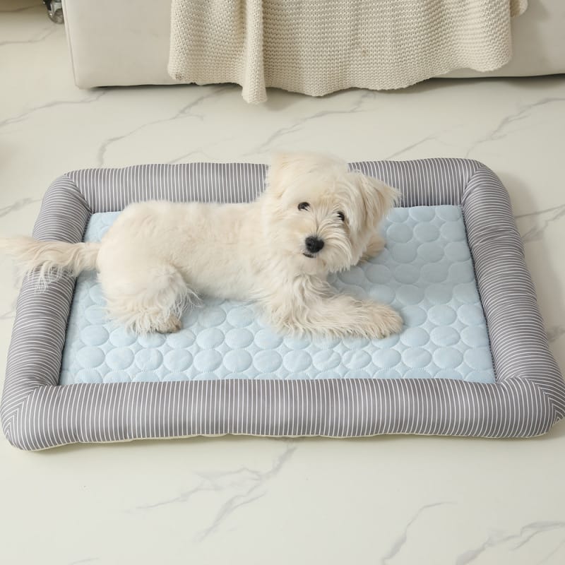 1 0 Nido de seda helada para perros Pet Cool Ice