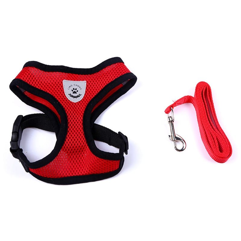 1 0 Red / L Cinturón de seguridad para mascotas en el coche Correa para mascotas. Múltiples colores y tamaños