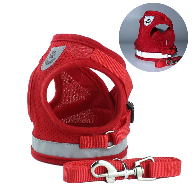 1 0 RedA / L Cinturón de seguridad para mascotas en el coche Correa para mascotas. Múltiples colores y tamaños