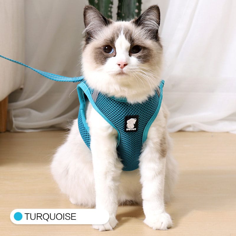 1 0 Turquoise green / L Arnés de tracción antigolpes para gatos