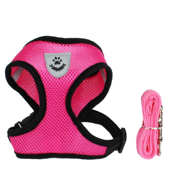 1 0 Rose Red / L Cinturón de seguridad para mascotas en el coche Correa para mascotas. Múltiples colores y tamaños